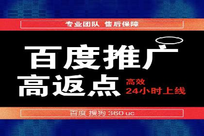 百度SEM推广策略：成功案例解析